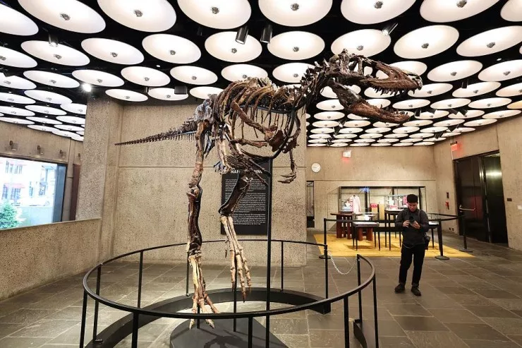 ABŞ-da 67 milyon illik dinozavr skeleti 47 milyon dollara  satıldı