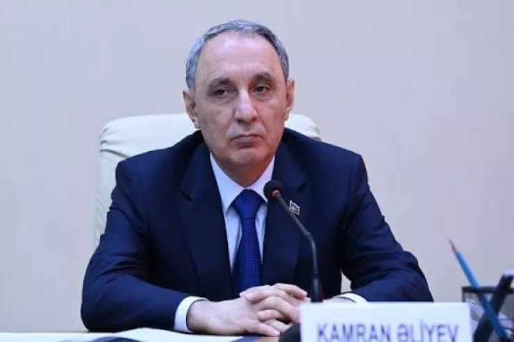 "Bu sosial bəlaya qarşı səylərimizi birləşdirməliyik" - Kamran Əliyev 