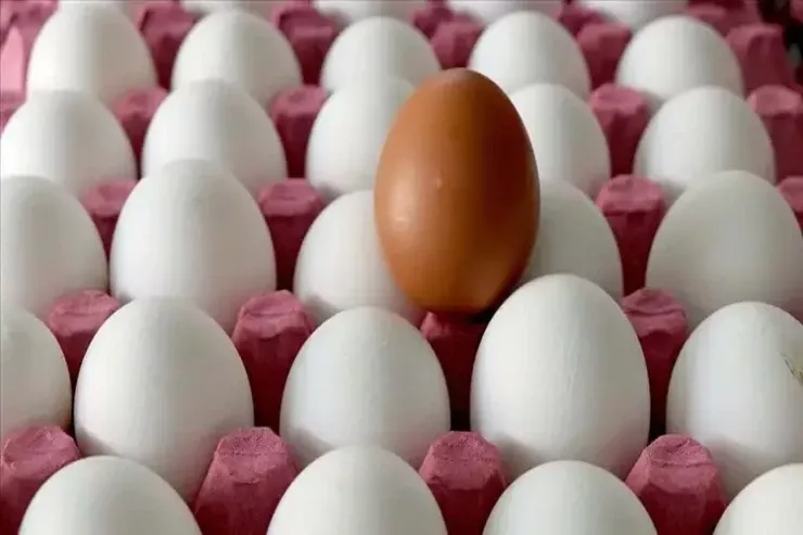 Bu ərzağı istifadə edənlər diqqətli olsun 