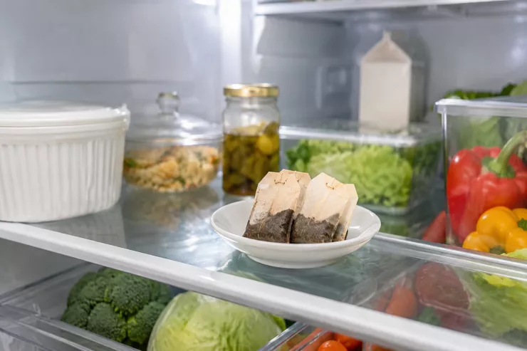 İstifadə olunmuş çay paketlərini  niyə soyuducuya qoymaq lazımdır?