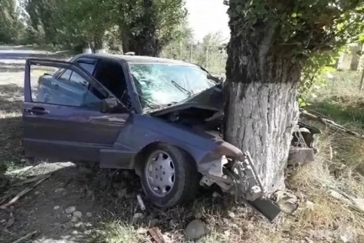 Qaxda “BMW” ağaca çırpıldı , sürücü xəsarət aldı