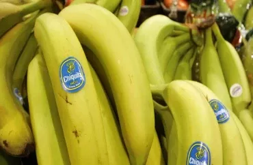 Yaşıl banan yemək olarmı? - Faydaları və gizli riskləri