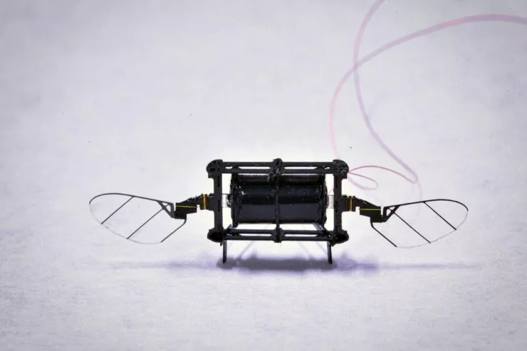 MIT-in balaca uçan robotu süni intellektlə  4,5 dəfə sürətləndi