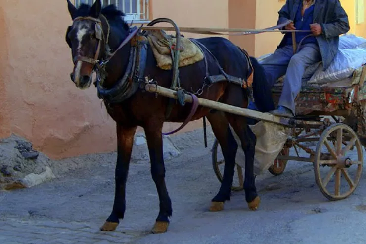 At arabası sürənlərə XƏBƏRDARLIQ 